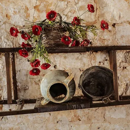 Masseria Lo Spagnulo *
